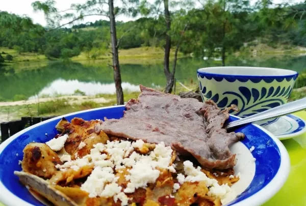 GASTRONOMÍA DE TLAXIACO